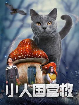 年轻的寡妇2