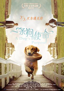 欧美伊人久久