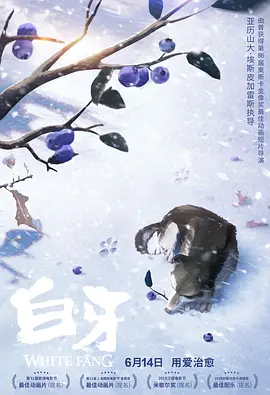 久久这里只有精品免费视频