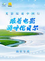 一个人看的视频www免费