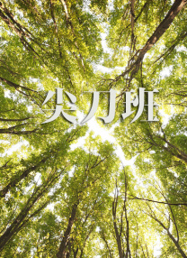 欧美激情一二三区