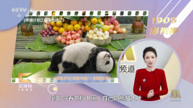野草视频www在线看